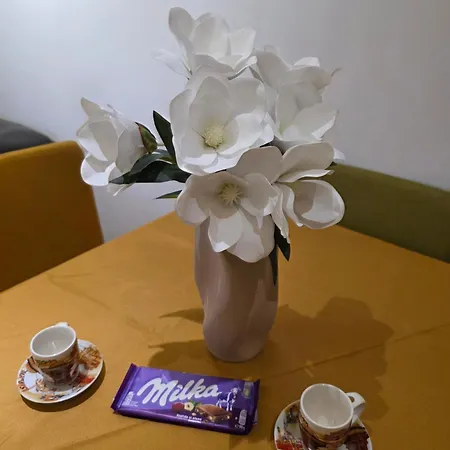 Lasta Apartment