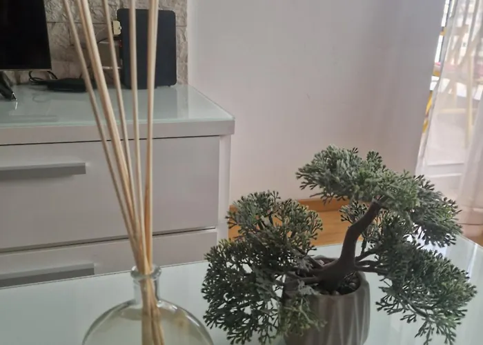 Lasta * سراييفو